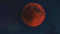 Lunar Eclipse 2021:কালীপুজোর পরেই বছরের শেষ চন্দ্র গ্রহণ,কীভাবে কাটাবেন অশুভ প্রভাব?