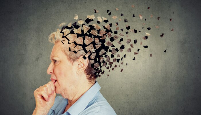 Alzheimer Disease: মস্তিষ্কে রক্তক্ষরণ হচ্ছে না তো? সতর্ক না হলেই বিপদ 