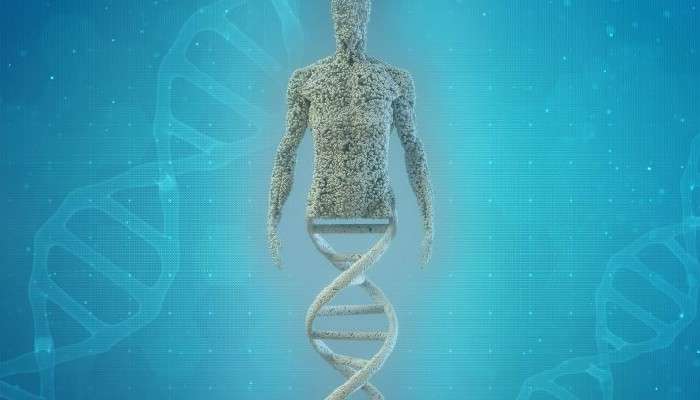 Human: মানুষ কী ভাবে 'মানুষ' হল? উত্তর দিচ্ছে এতদিনের গোপন DNA 