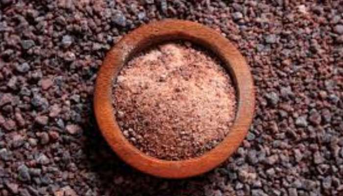 Black Salt: ডায়াবিটিসের থেকে মুক্তি পেতে ও দ্রুত ওজন কমাতে নিয়মিত বিট নুন খান