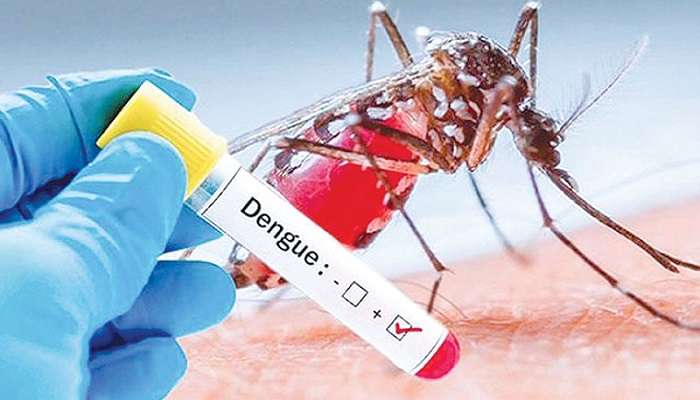 Dengue: এক সপ্তাহেই প্রায় ২ গুণ আক্রান্ত, দক্ষিণ দমদম ও বরানগরে উদ্বেগ বাড়াচ্ছে ডেঙ্গি
