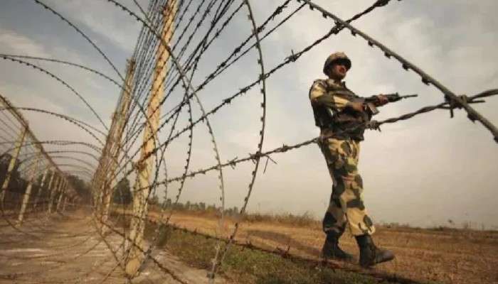 রাতের অন্ধকারে গরু পাচার! সিতাই সীমান্তে BSF-এর গুলিতে নিহত ২ 