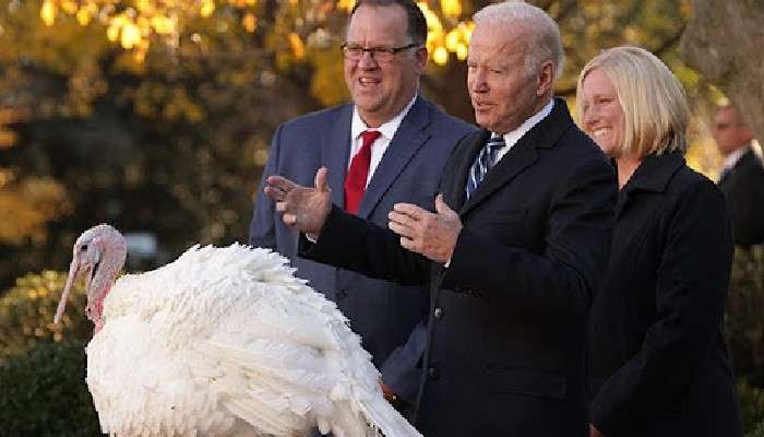 Thanksgiving: জো বাইডেন ক্ষমা করলেন দুই টার্কি মুরগিকে!