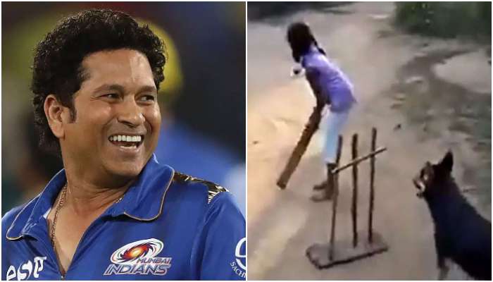 Sachin Tendulkar: কুকুরের &#039;উইকেট-কিপিং&#039;য়ে থ সচিন! শেয়ার করলেন ভিডিও