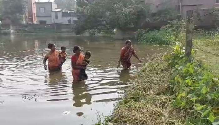 TMC: শিশু কোলে পুকুর পেরিয়ে যাতায়াত! রাস্তা তৈরিতে 'বাধা' তৃণমূল নেতার