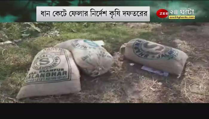Jawad Alert: lesson from Ampan-yaas, Department of Agriculture orders to cut paddy immediately. Bangla News Live