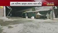 Jalpaiguri: ধূপগুড়িতে ভালুকের আতঙ্ক, গতিবিধি নিয়ে নিশ্চিত বন দফতর, কী জানালেন DFO? Bangla News live