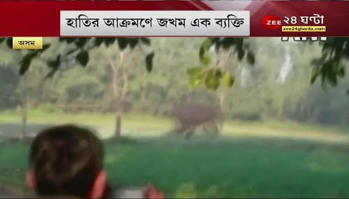 Viral Video: Wild elephants attack young men! What happened then? See | Zee 24 Ghanta | News