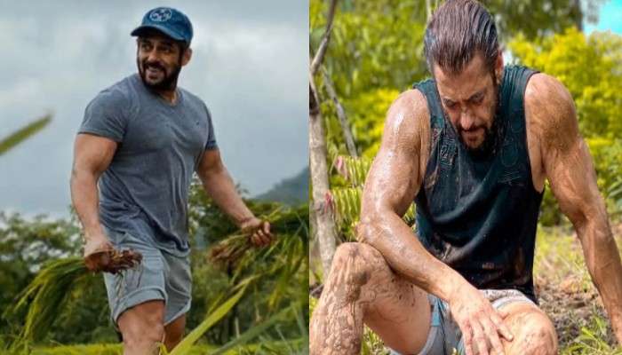 Salman Khan: অসতর্কতার কারণেই সাপের ছোবল খেলেন সলমন!