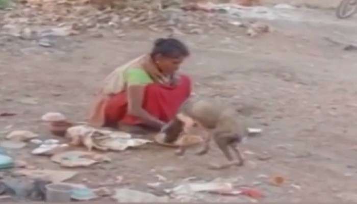 Purbasthali Viral Video: কুকুরের সঙ্গে একই থালায় খাচ্ছেন মহিলা, মর্মস্পর্শী ভিডিওয় স্তম্ভিত প্রশাসন