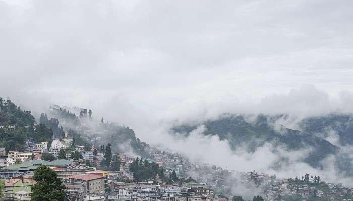 Darjeeling Police Travel Advisory: সামনেই দার্জিলিং ঘুরতে যাচ্ছেন, মেনে চলুন পুলিসের এই নিয়মগুলো