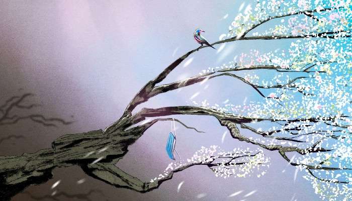 Omicron কি 'শাপে বর'? করোনা অতিমারীর 'শেষের শুরু'? তেমনই ইঙ্গিত কিছু কিছু সমীক্ষার