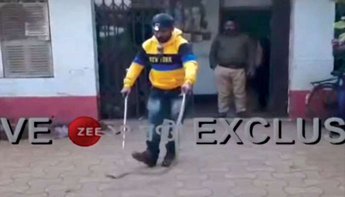 Snake: মালখানায় ঘাপটি মেরে ছিল গোখরো, চোখে পড়তেই হুলুস্থুল আদালত চত্বর