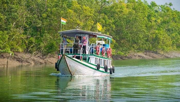 Sundarban: ভরা মরশুমে বন্ধ পর্যটন, দিন চলবে কী করে? &#039;মাথায় হাত&#039; সুন্দরবন ব্যবসায়ীদের