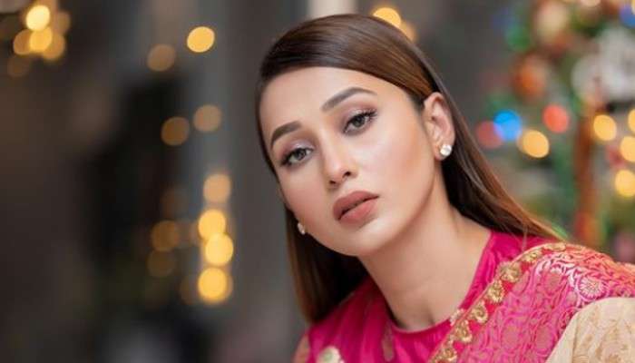 এবার হিন্দি ওয়েব সিরিজে পা রাখছেন মিমি
