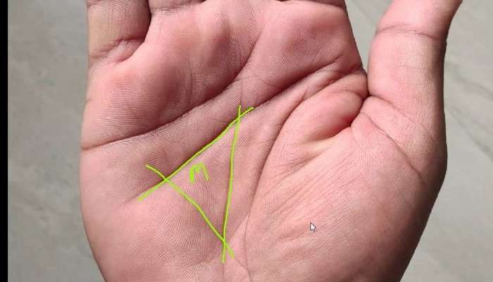 Palmistry: আপনার হাতের তালুতে আছে এই ত্রিভুজ? তা হলে আপনার জন্য অপেক্ষা করছে দারুণ জীবন!  