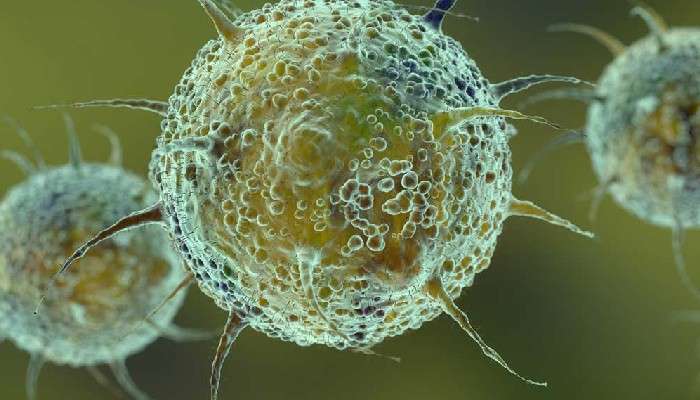 New Corona Virus Variant Deltacron: ডেল্টা ও ওমিক্রনের শক্তিতে বলীয়ান! করোনার নয়া প্রজাতি &#039;ডেল্টাক্রন&#039;