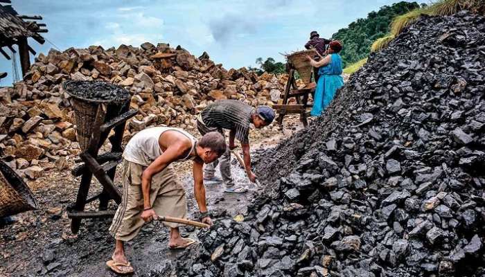 Coal Case: কয়লা কাণ্ডে ED-কে ভর্ৎসনা হাইকোর্টের