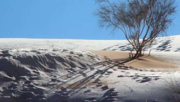 Sahara Desert: সাহারায় তুষারপাত! বরফের চাদরে ঢাকল বিশ্বের বৃহত্তম মরুভূমি Sahara Desert: সাহারায় তুষারপাত! বরফের চাদরে ঢাকল বিশ্বের বৃহত্তম মরুভূমি