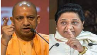 UP Election 2022: 'যোগীর বাড়ি বিশাল বাংলোর থেকে কম কিছু নয়', খোঁচা মায়াবতীর