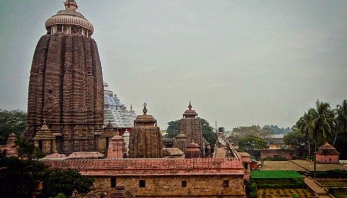 Shree Jagannath Temple: ভক্তদের জন্য খুলে যাচ্ছে জগন্নাথ মন্দিরের দরজা, ১ ফেব্রুয়ারি শুরু হবে দর্শন