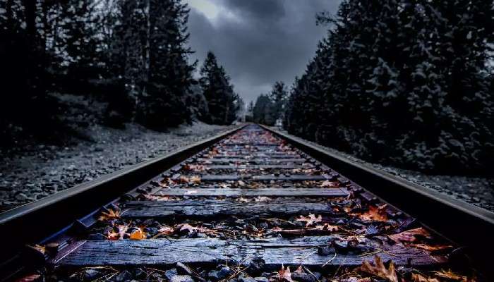 North Bengal Ghost Station: অমাবস্য়ার রাতে ভূত ধরতে রেল লাইন পাহাড়ায় পুলিস-দমকল-RPF, তারপর...