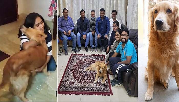Pet Dog Kidnapped: আদরের রিওকে 'অপহরণে'র ৭২ ঘণ্টাতেই খুঁজে বের করল পুলিস, পরিবারের কোলে ফিরেই শুরু হুটোপুটি