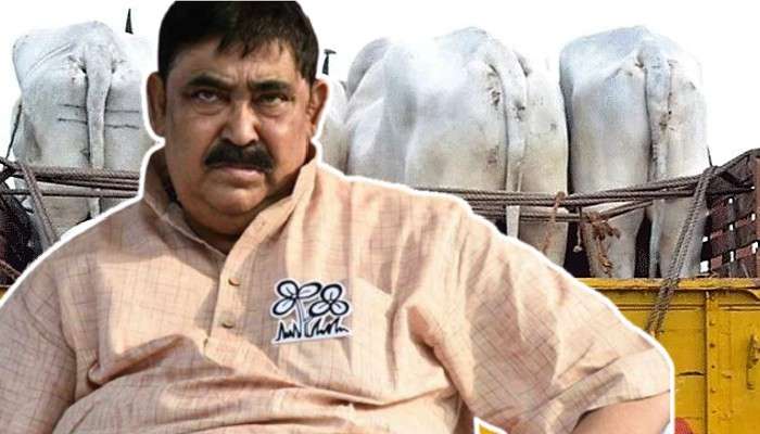 Cow Smuggling Case: দেবের পর অনুব্রত, গরু পাচার মামলায় এবার 'কেষ্ট'কে নোটিস CBI-এর