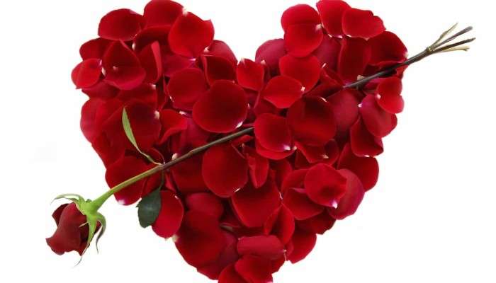 Happy Valentine&#039;s Day: প্রথম বসন্তের মাধুরী নিয়ে একটি রঙিন প্রেমদিবস আজ আপনার হাতের কাছেই!