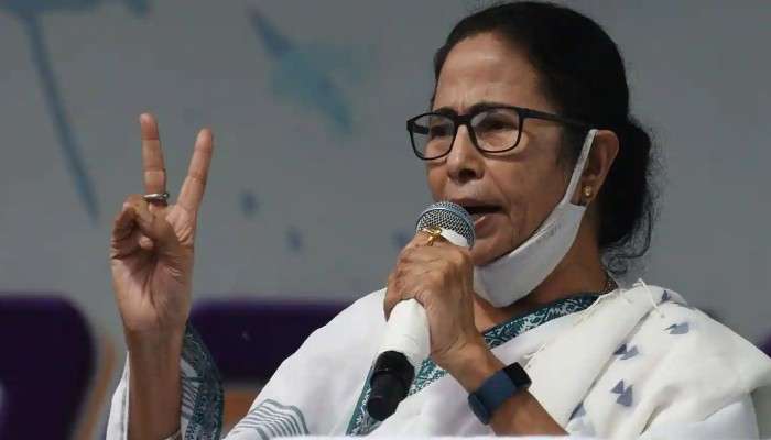 TMC Working Committee Meeting: তৃণমূলের জাতীয় কর্মসমিতির বৈঠক, তিন মেয়র পদের ঘোষণা আজ? 