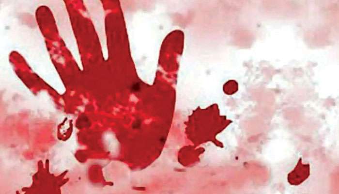 Girl kills Mother: বাসন না মেজে রাখায় বকাবকি করতেই ভয়ঙ্কর কাণ্ড, ফ্রাইং প্যান দিয়েই মাকে পিটিয়ে মারল মেয়ে