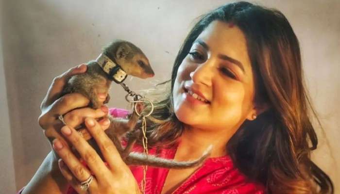 Srabanti Chatterjee: আইনি বিপাকে শ্রাবন্তী, গলায় চেন বেঁধে বন্যপ্রাণীকে আটকে রাখার অভিযোগ নায়িকার বিরুদ্ধে 