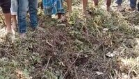 জঙ্গল সাফাই করতে গিয়ে উদ্ধার পাইপ গান-কার্তুজ, শত বছরের করবস্থানে তীব্র চাঞ্চল্য