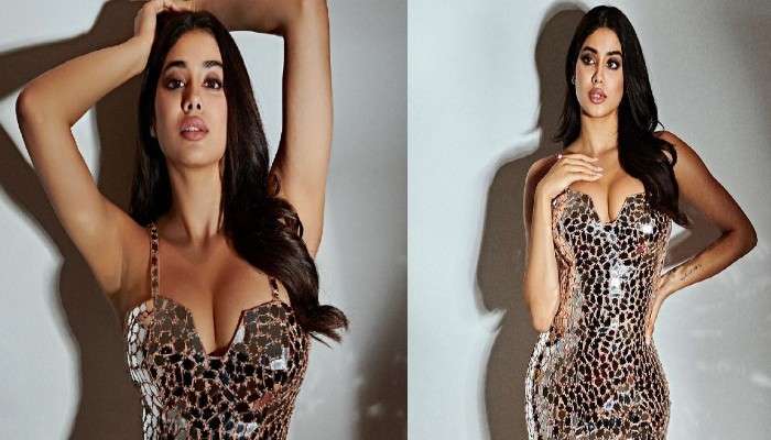 Janhvi Kapoor: প্রযোজক অপূর্ব মেহতার জন্মদিনের পার্টি, মেটালিক পোশাকে উত্তাপ ছড়ালেন জাহ্নবী কাপুর