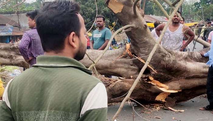 Maynaguri: মায়ের সঙ্গে হাটে এসেছিল নাবালক, আচমকাই ভেঙে পড়ল বিশাল বটগাছ