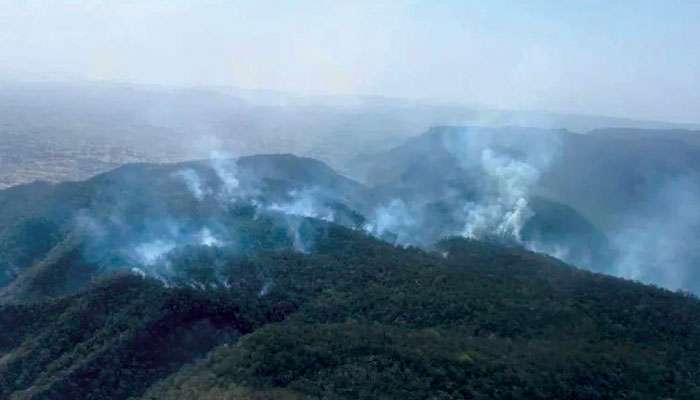 Forest Fire: বিধ্বংসী আগুনের গ্রাসে রাজস্থানের সরিস্কা অভয়ারণ্য, ডাকা হল সেনাকে