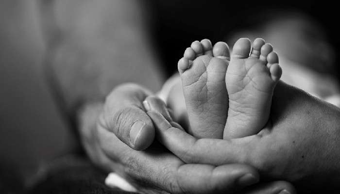  Birbhum Child Death: পায়ের অপারেশন করাতে এসে শিশুর 'মৃত্যু', রামপুরহাটের নার্সিংহোমে ধুন্ধুমার