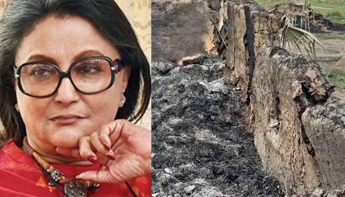 'আশা করি তিনি সমাধান করবেন; না হলে পরবর্তী পদক্ষেপের কথা চিন্তা করা যাবে': মুখ্যমন্ত্রীকে চিঠি লিখে বললেন অপর্ণা সেন