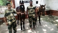 দীর্ঘ ১০ বছর সেনায় চাকরির পর অবসর নিল 'মমতা'