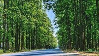 এবার পর্যটনে বিনিয়োগ টানতে উদ্যোগী রাজ্য
