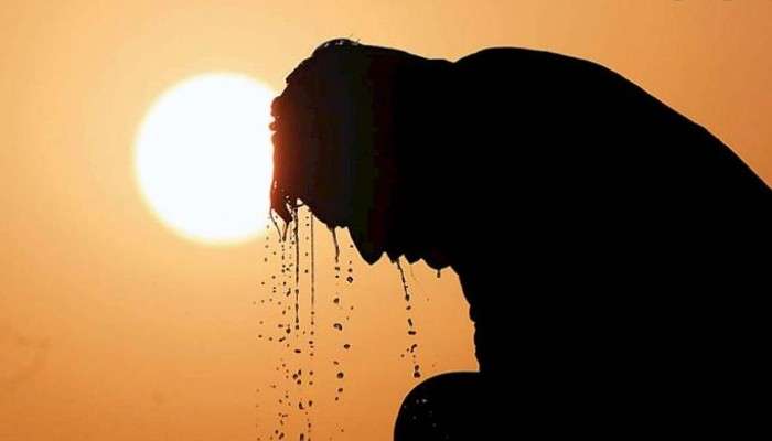 Heatwaves:  প্রবল গরমের বলি? হাওড়ায় মৃত্যু টোটো চালকের