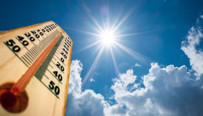 Heatwave: গরমে সানস্ট্রোক? পুকুরে পানা পরিষ্কারের সময় মৃত্যু ব্যক্তির