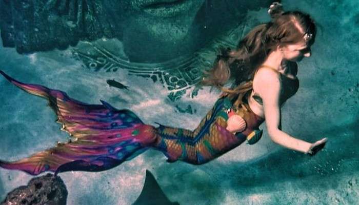 Real-Life Mermaid: &#039;মারমেড&#039; গল্প নয়! এতদিনে খোঁজ পাওয়া গেল মৎস্যকন্যার!  
