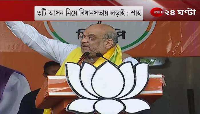 Amit Shah In Bengal: 'If there is anything in the country, Didi sends tmc delegations, why didn't the team go to Birbhum, Nadia?'