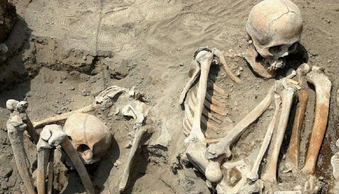 Skeletons of 1857 Revolt: মিলল সিপাহি বিদ্রোহে অংশ নেওয়া প্রায় তিনশো ভারতীয় সেনার দেহাবশেষ