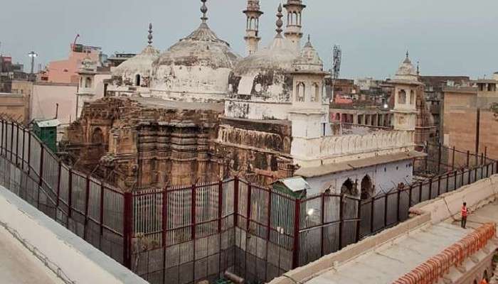 Gyanvapi Masjid: জ্ঞানবাপী মসজিদে শিবলিঙ্গ? কী বলছেন আইনজীবী?