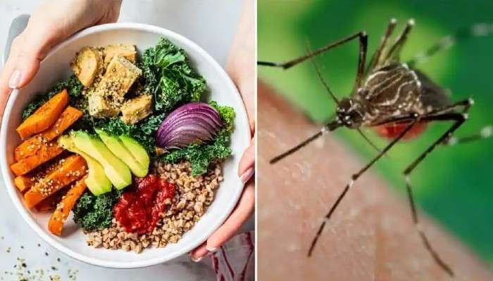 National Dengue Day: ডেঙ্গু থেকে তাড়াতাড়ি সুস্থ হতে কী খাবেন, কী খাবেন না? 