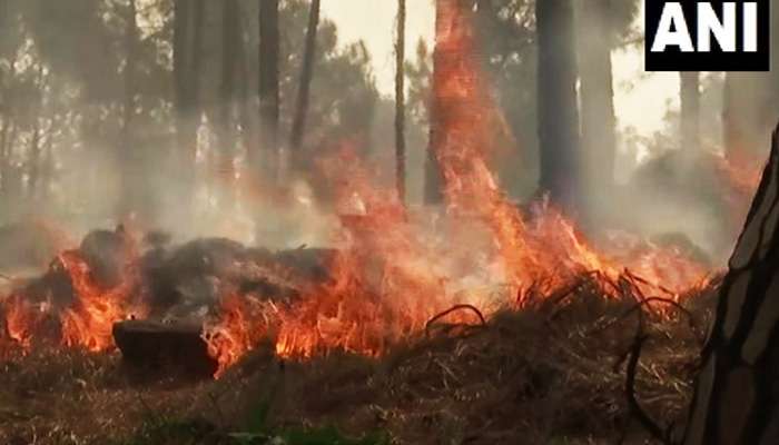 Landmine Explosion in J&amp;K: একের পর এক ল্যান্ডমাইন বিস্ফোরণ, সাতসকালে কেঁপে উঠল পুঞ্চের মেনধর সেক্টর 