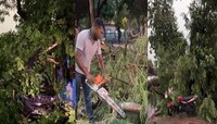 কালবৈশাখীর দাপটে ডেপুটি মেয়রের বাড়ির সামনে ভাঙল গাছ, বিপর্যস্ত কলকাতা