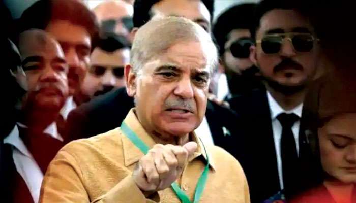 Shehbaz Sharif on Article 370: দেশের আর্থিক পরিস্থিতি শোচনীয়, কাশ্মীরের জিগির তুললেন শাহবাজ শরিফ